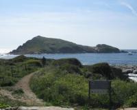 10-jpg