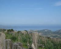24-jpg