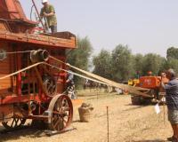 09-jpg