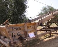 11-jpg