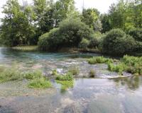 20-jpg
