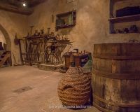 img_6118-compresso-jpg