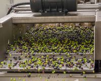 img_6810-compresso-jpg