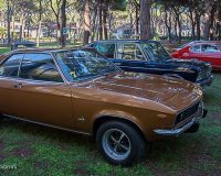 img_7180-conv-jpg