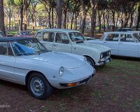 img_7182-conv-jpg