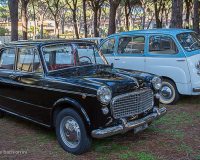 img_7184-conv-jpg