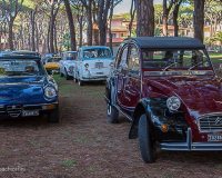 img_7186-conv-jpg
