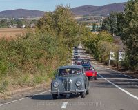 img_4545-compresso-jpg