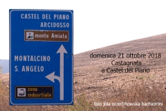 Castagnata a Castel del Piano