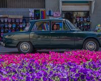 img_8716-modifica-conv-jpg