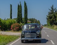 img_8769-modifica-modifica-conv-jpg