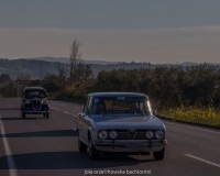 img_1228-modifica-jpg