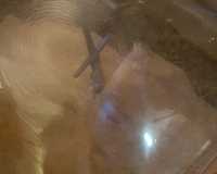 img-20180520-wa0011-jpg