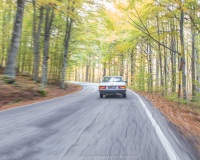 img_6475-modifica-jpg