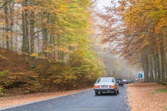 Castagnata a Castel del Piano