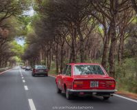 img_6134-conv-jpg