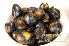 La Castagnata 2021