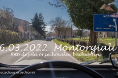 Montorgiali