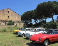 11-jpg