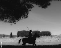 37-jpg